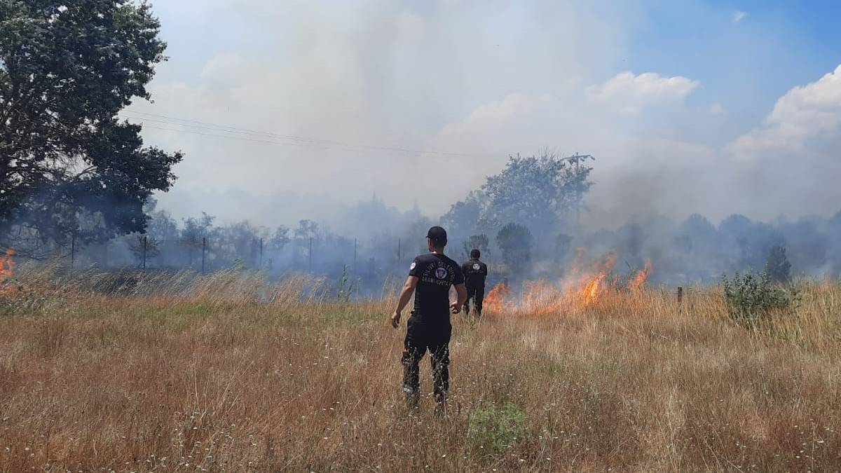 Silivri'de otluk alanda çıkan yangın ormana sıçradı: Yangına müdahale ediliyor