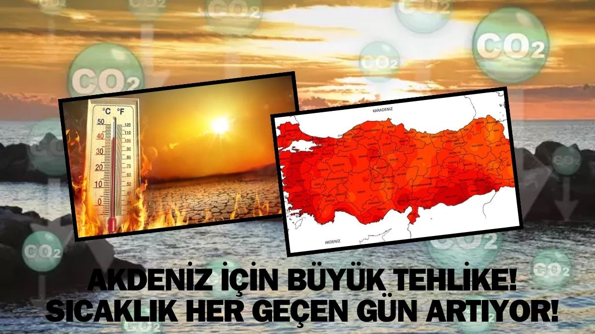 Kıyametin kronometresine basıldı! Akdeniz'de büyük tehlike: Böyle giderse hepimiz bittik