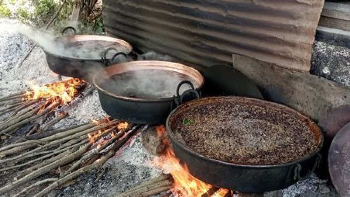 Kilosu 1000 lirayı buluyor! Ordu'da hasat başladı: Demir, Potasyum, kalsiyum kaynağı