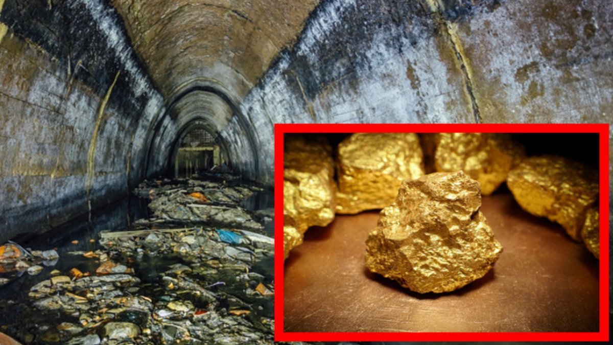 Kanalizasyondan çıkarıp altına çeviriyorlar! 1 tondan 2 kilo altın... Dışkıyı altına çevirmenin yolunu buldular