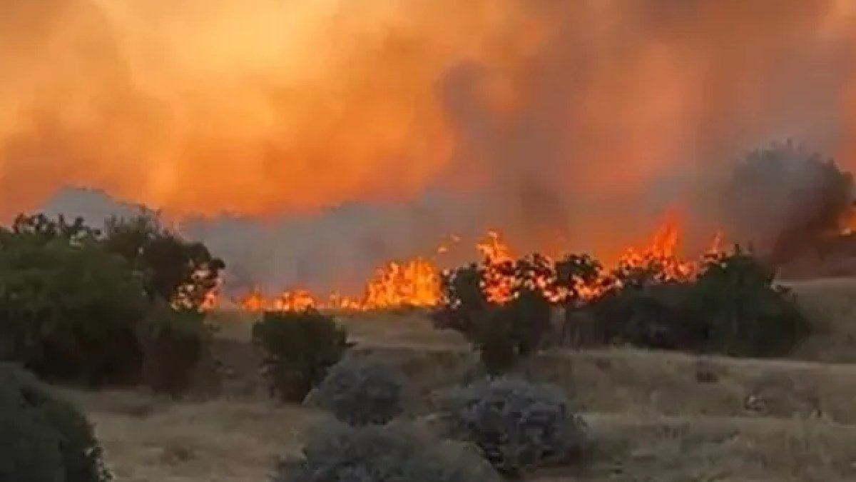AFAD'dan faciadan 18 gün sonra gelen adım: Diyarbakır ve Mardin'de 'afet bölgesi' ilan edildi