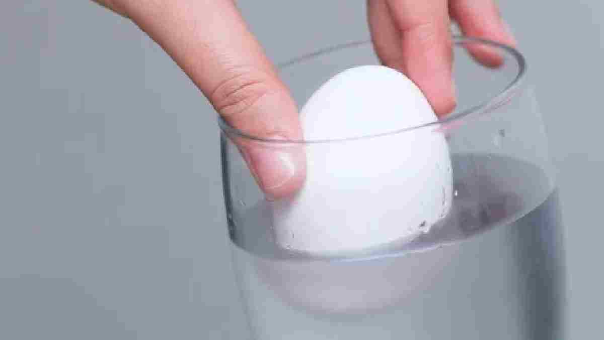 Bayat yumurtayı şıp diye anlamanın formülü! Yemeden önce test edin, eğer dibe batıyorsa..