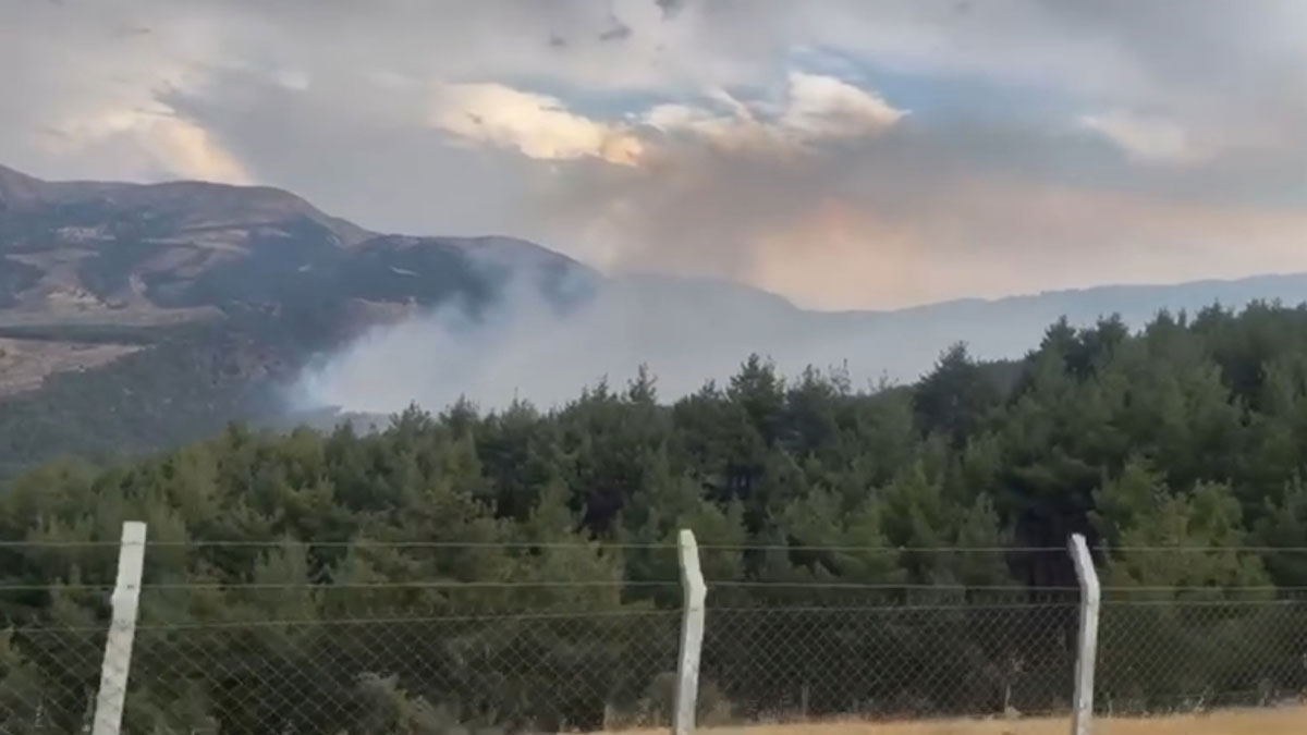 Kahramanmaraş'ta orman yangını