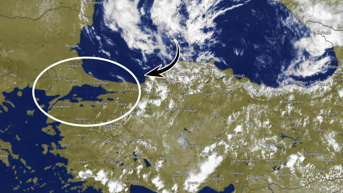 Karadeniz'den Marmara'ya yola çıktı, kütle kütle geliyor! Perşembe ortalığı koparacak, bekleyin
