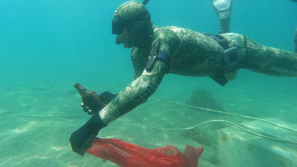 Gündoğan’da deniz dibi temizliği
