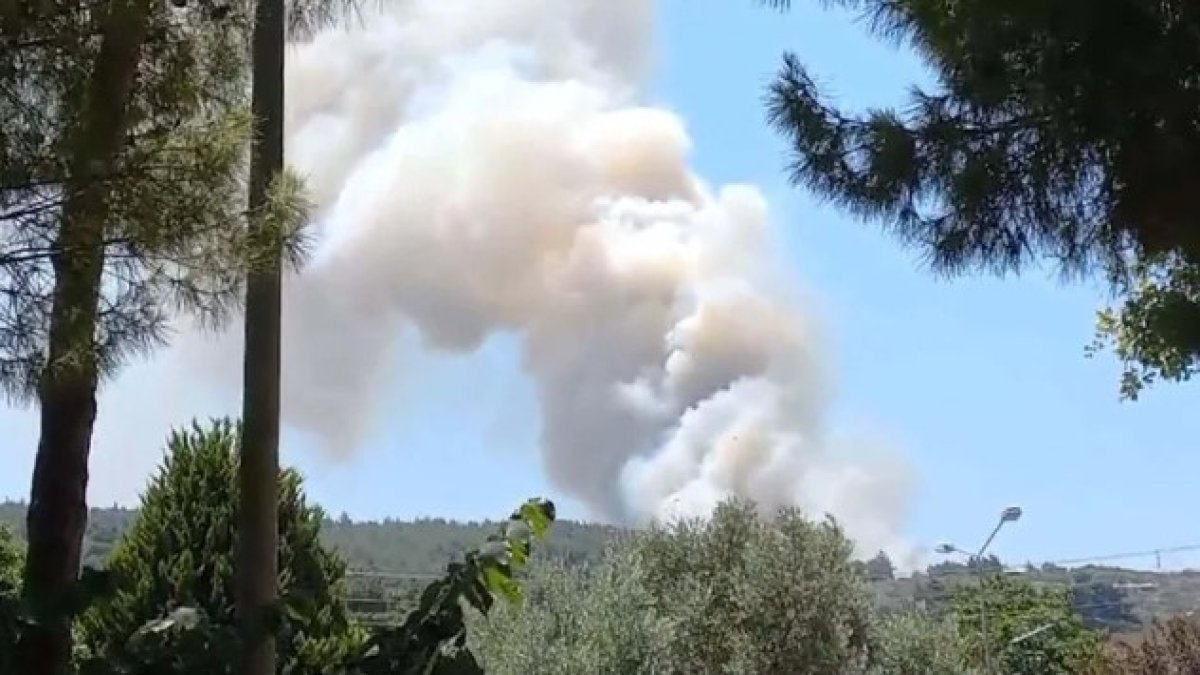 İzmir Menderes'te orman yangını: Kontrol altına alınmaya çalışılıyor