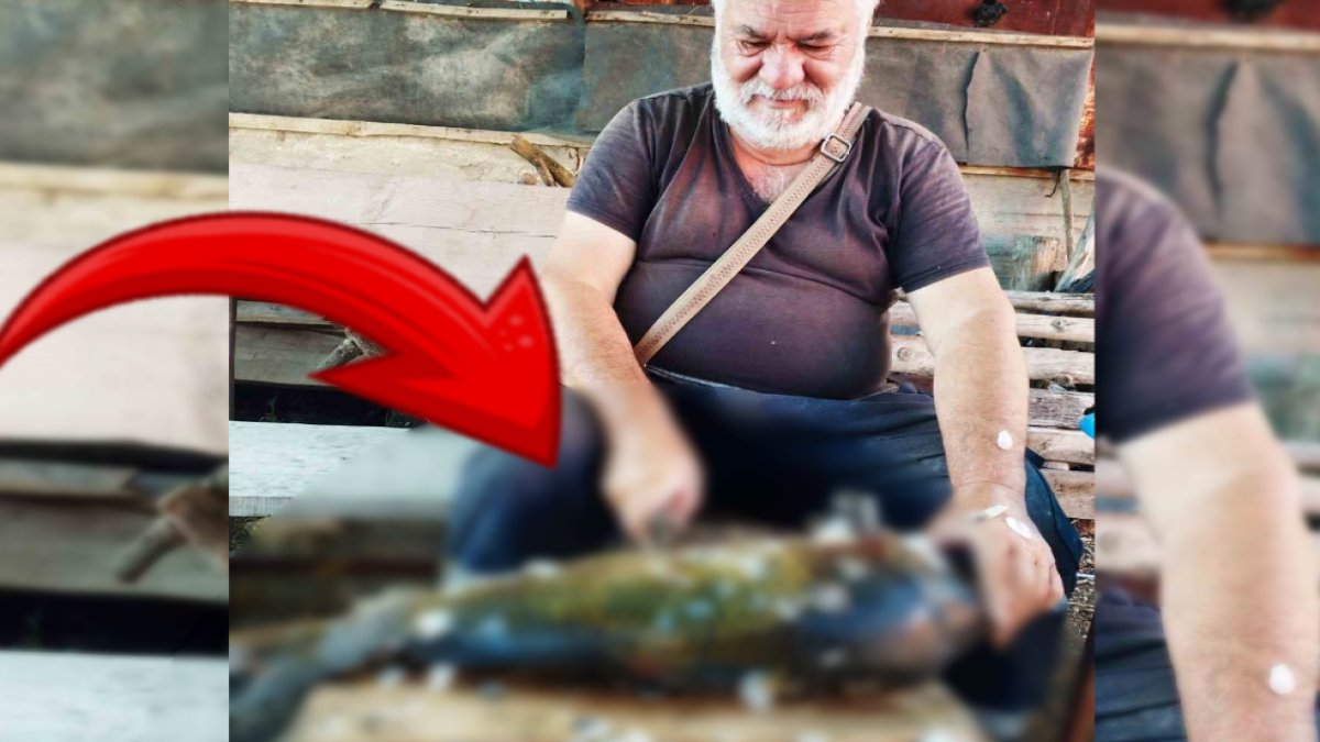 Tarlanın içindeki havuza oltasını attı! Çıkarmak için yarım saat uğraştı: Tam 5 buçuk kiloluk balık yakaladı