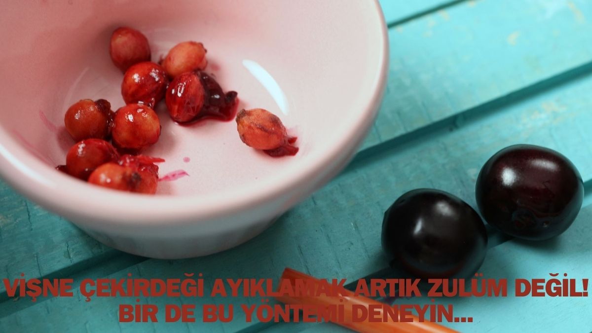 Vişne çekirdeğini uğraşsız çıkarmanın formülü! Kilo kilo vişne 5 dakikada bitiyor: Boşuna uğraşmışız
