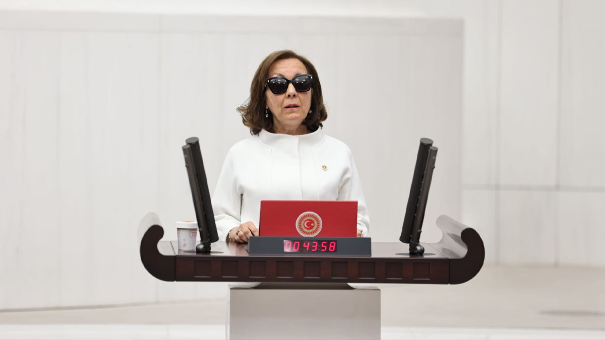 Özbudun'dan 9. Yargı Paketi eleştirisi: Anayasa'ya aykırı