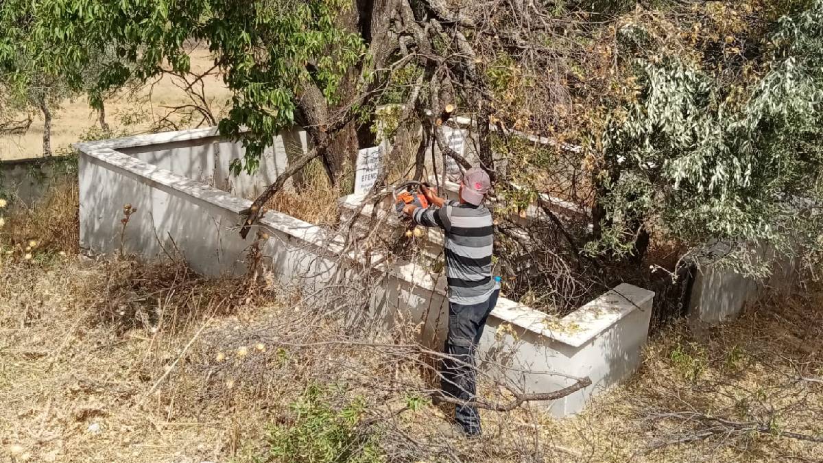 Efeler’den mezarlıklara bakım