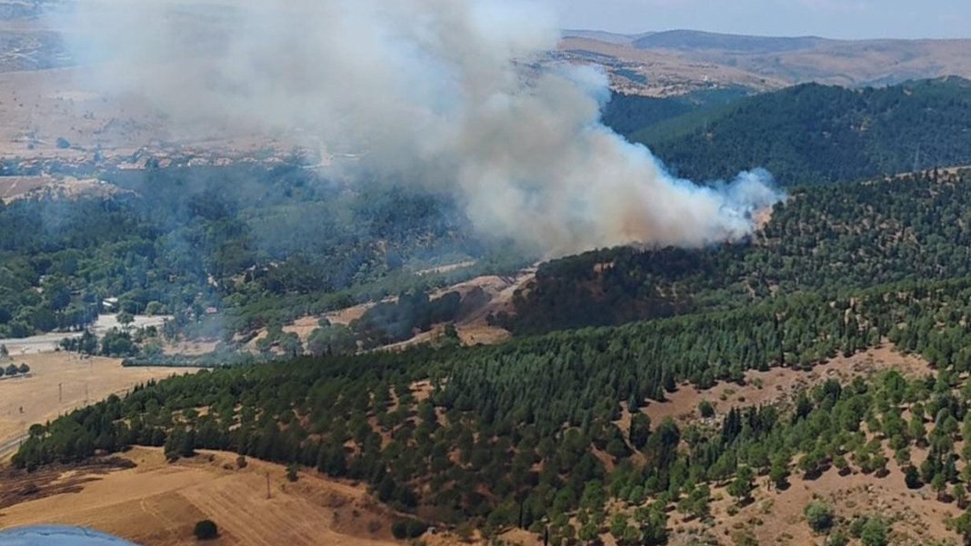 Balıkesir'de orman yangını: Müdahale devam ediyor
