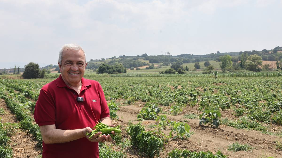 Nilüfer Belediyesi 350 dekarlık alanda tarımsal üretim yapıyor