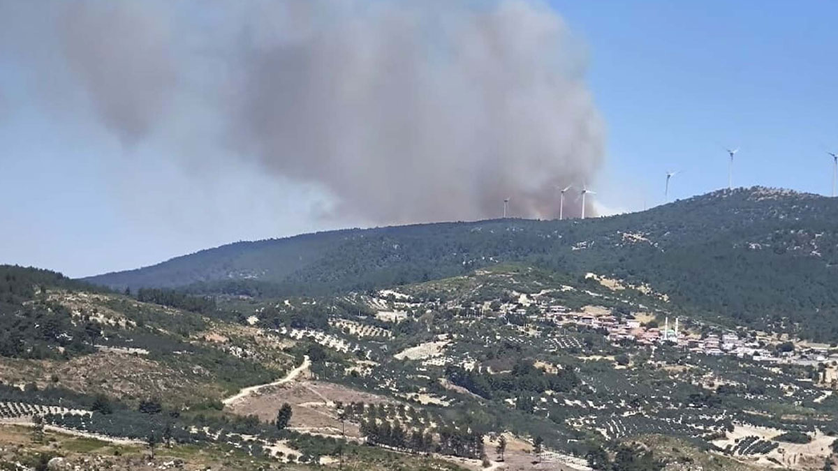 Manisa Soma'da orman yangını