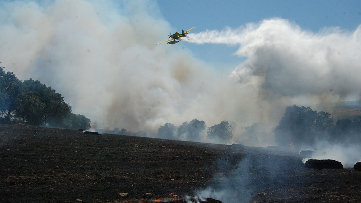 Çanakkale'de orman yangını: Müdahale sürüyor
