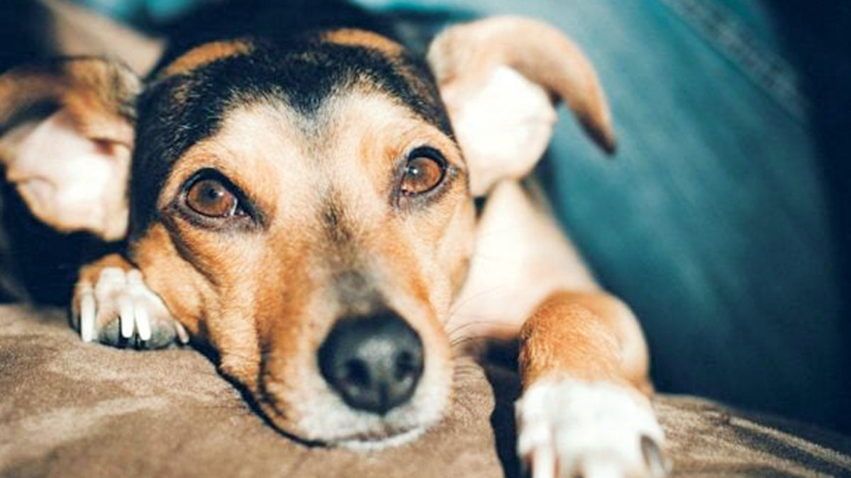 Bir daha düşünün