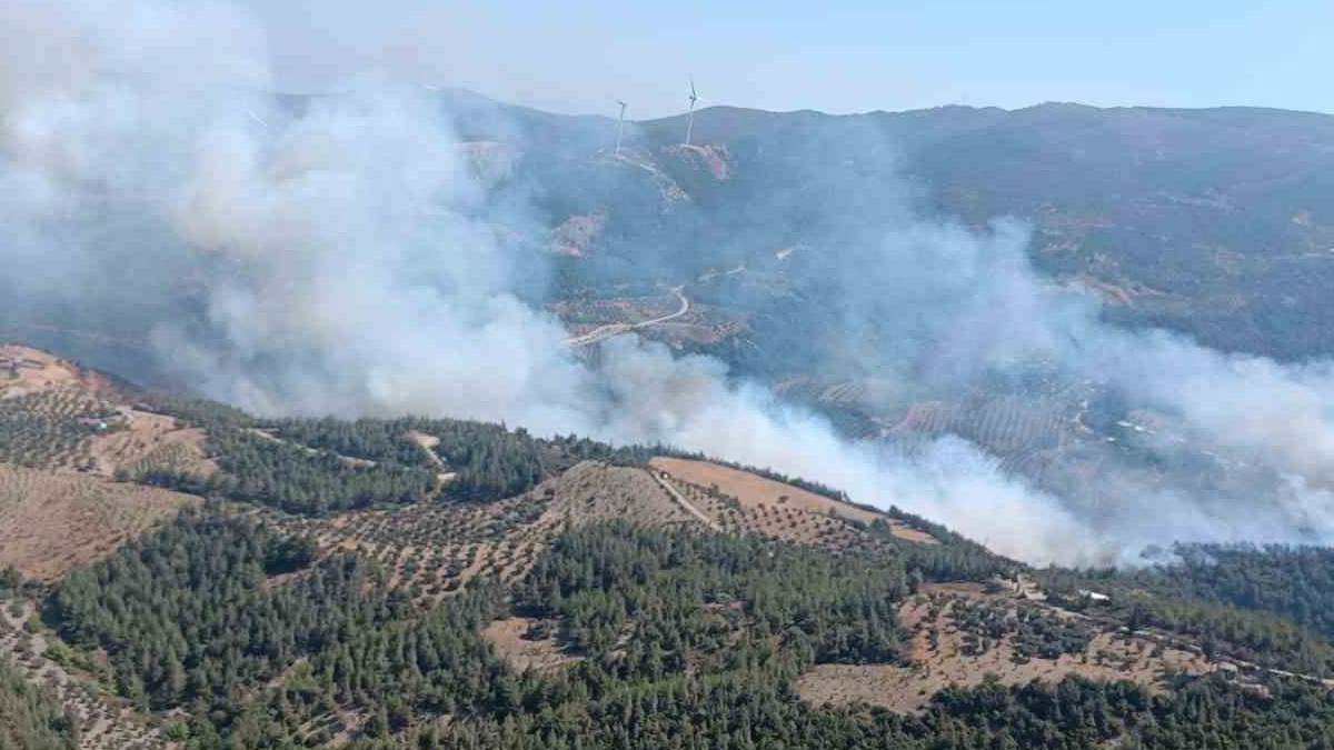 Hatay'da orman yangını