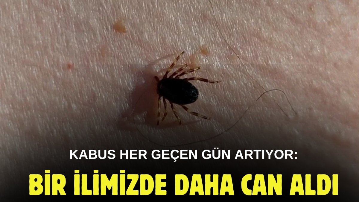 Bir ilde daha kabus başladı! Bir ısırığıyla can alıyor, yetkililer uyardı: Çıplak elle dokunmayın