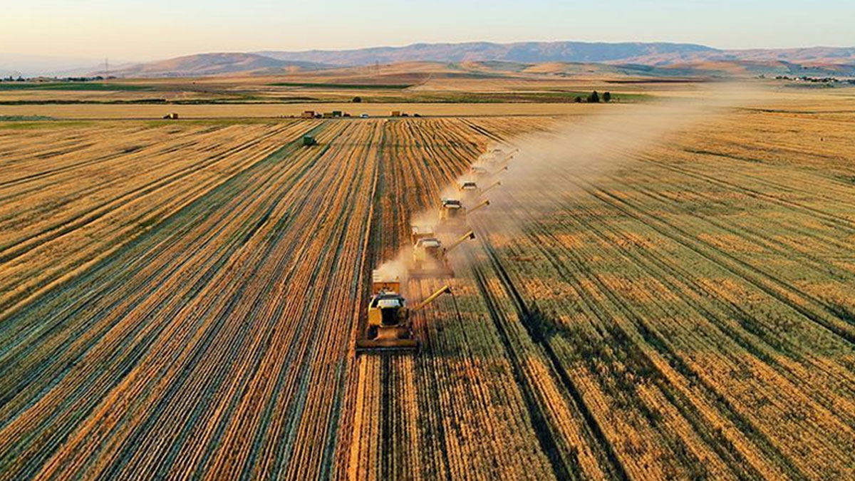 Saadet Partisi'nden hükümete tarım politikaları tepkisi: 12 yılda çiftçi sayısı  yüzde 48 azaldı