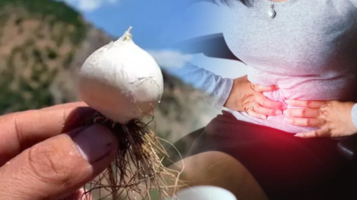 Ruslar avuç avuç götürüyor! Kanserden sindirime ilaç oluyor: Alıp yiyende hastalıktan eser kalmıyor