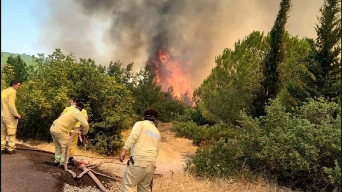 Türkiye'de 'ciğerlerimiz' yanıyor: Peş peşe orman yangınları! Havadan ve karadan müdahale sürüyor