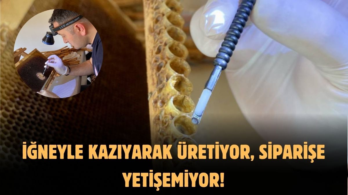 4 yıllık okulu 3 yılda bitirdi kendini işine adadı! ‘Bozkırda zor’ dedi yine de başardı: Şimdi kilosunu 25 bin liradan satıyor