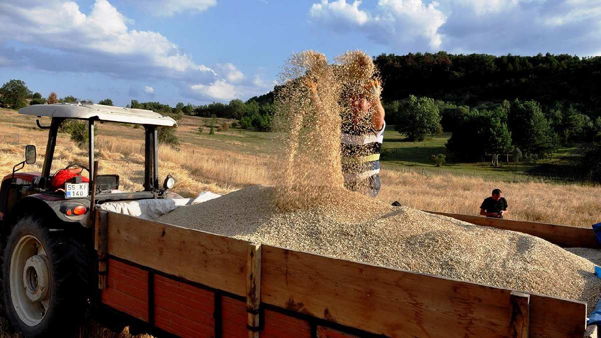 12 bin yıllık geçmiş Türkiye’nin her yerine ulaşıyor! O şehirde üretiliyor, tüketenler zayıflıyor