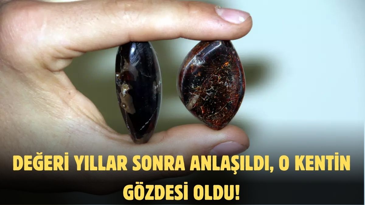 Türkiye'de sadece bir ilde çıkıyor! Köylüler değerini bilmeden yakıt olarak kullanmış, fiyatı altınla yarışıyor