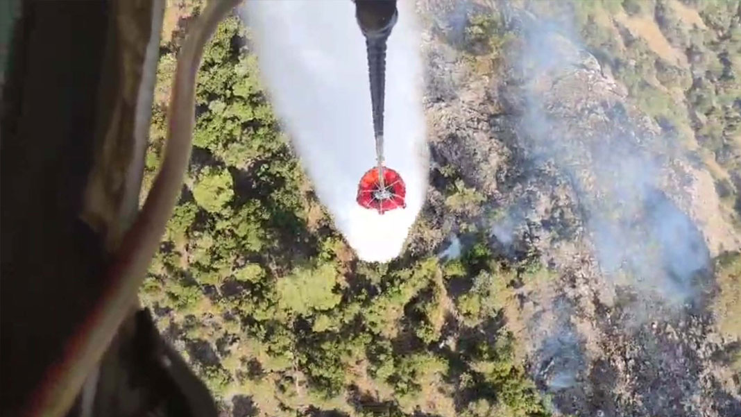 İzmir Bergama’daki orman yangını 2'nci gününde