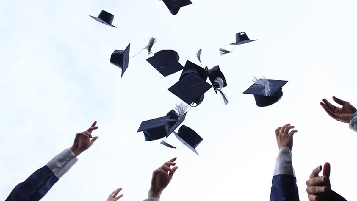 TÜİK açıkladı: İşte Türkiye'nin en çok para kazandıran bölümleri