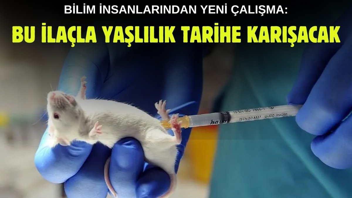 Yaşlılık artık tarih oluyor! Bilim insanları bunu da yaptı: Hastalık ve yaşlılığı önleyip ömürlerini uzattı