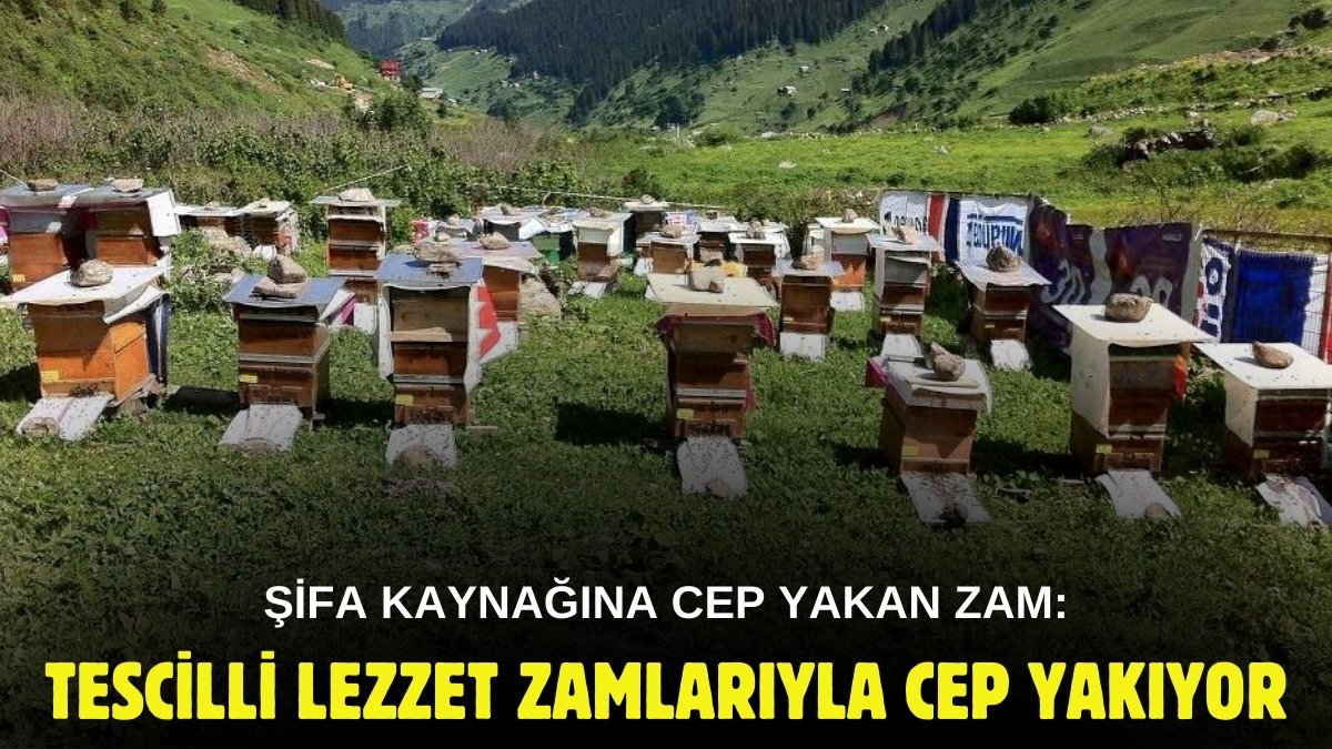Herkes şifalı diye alıyordu, yüzde 38 zam geldi! Kimsenin eli artık değmeyecek, tescilli lezzetin fiyatı cep yakıyor