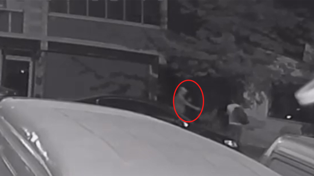 Sosyal medya fenomenine kurşun yağdırdı!