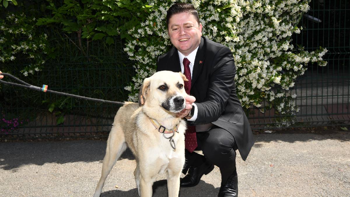 “Kadıköy’de her canlının eşit yaşam hakkı vardır”