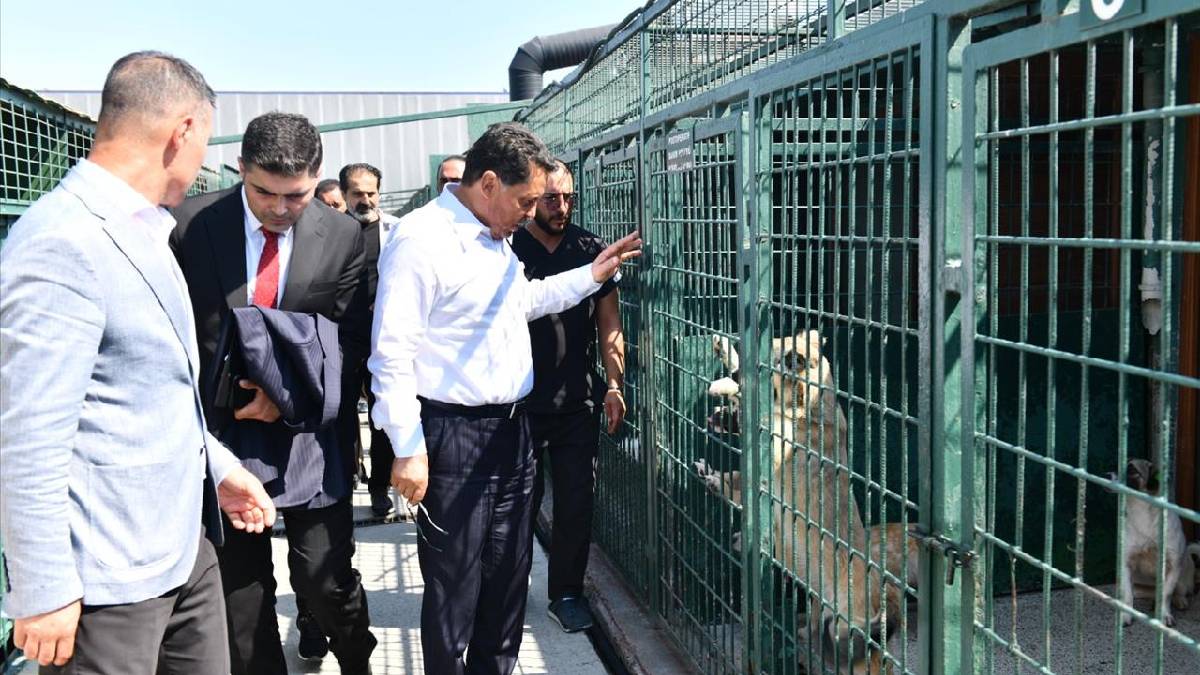 Başkan Özer’den Hayvan Hakları Yasasına ilişkin önemli açıklama: Prof. Dr. Özer: hükümet tüm imkânlarını seferber etmeli