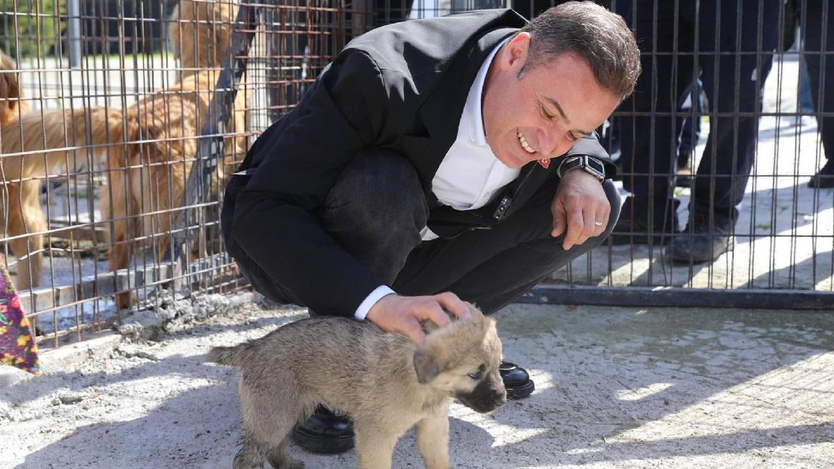 Başkan Ahmet Akın’dan, can dostlara yuva olun çağrısı