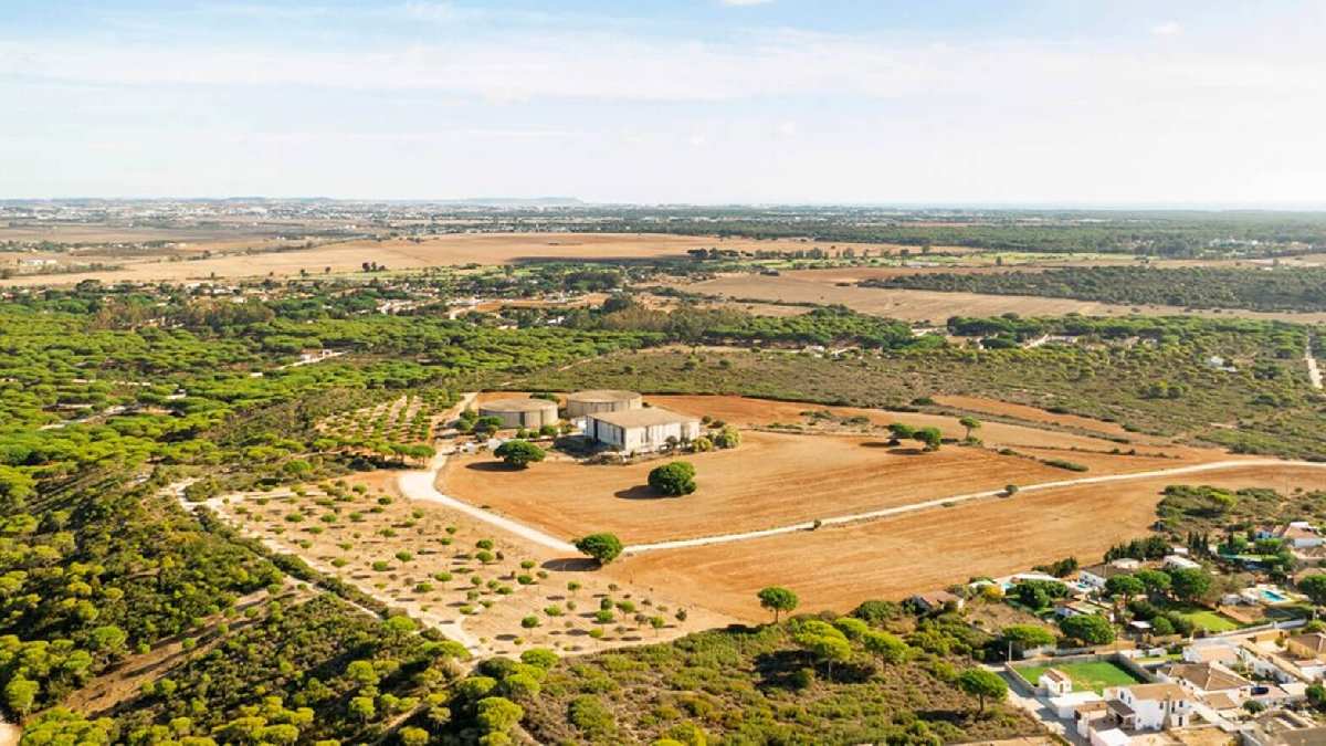 Milli Emlak başınıza talih kuşu konduracak! O şehirde yaşayanlar fırsatı sakın kaçırmasın: Kelepir avı başladı