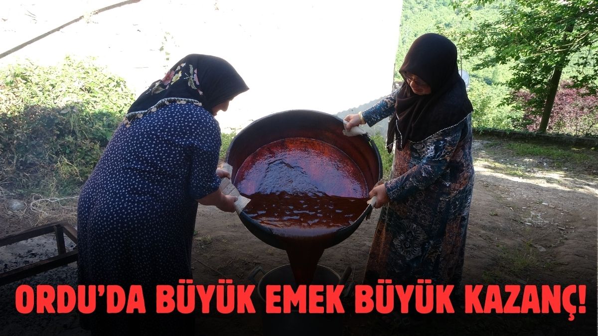 Zahmetli oluyor ama sonunda güldürüyor!  10 saatte kaynıyor 1 günde hazır oluyor: Kilosu 1000 TL’den damlası bile kalmıyor