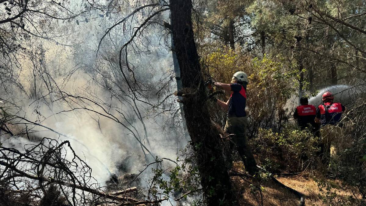 İzmir İtfaiyesi 4 ilçede yangınlara müdahale ediyor