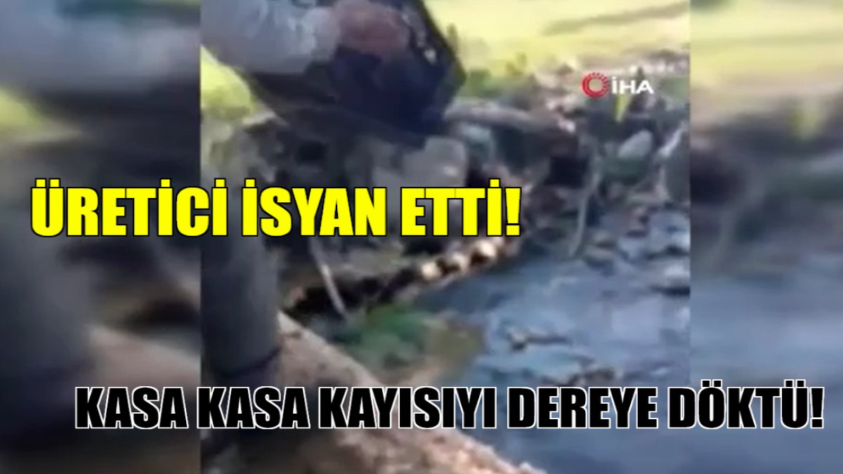 Üreticiden tepki! Kayısının kilosu 5 TL olunca kasa kasa dereye döktü: O anlar kamerada