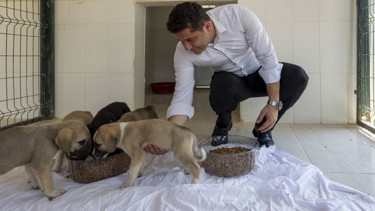 Büyükşehir’den yine bir ilk: Patili dostlara mama üretim ünitesi