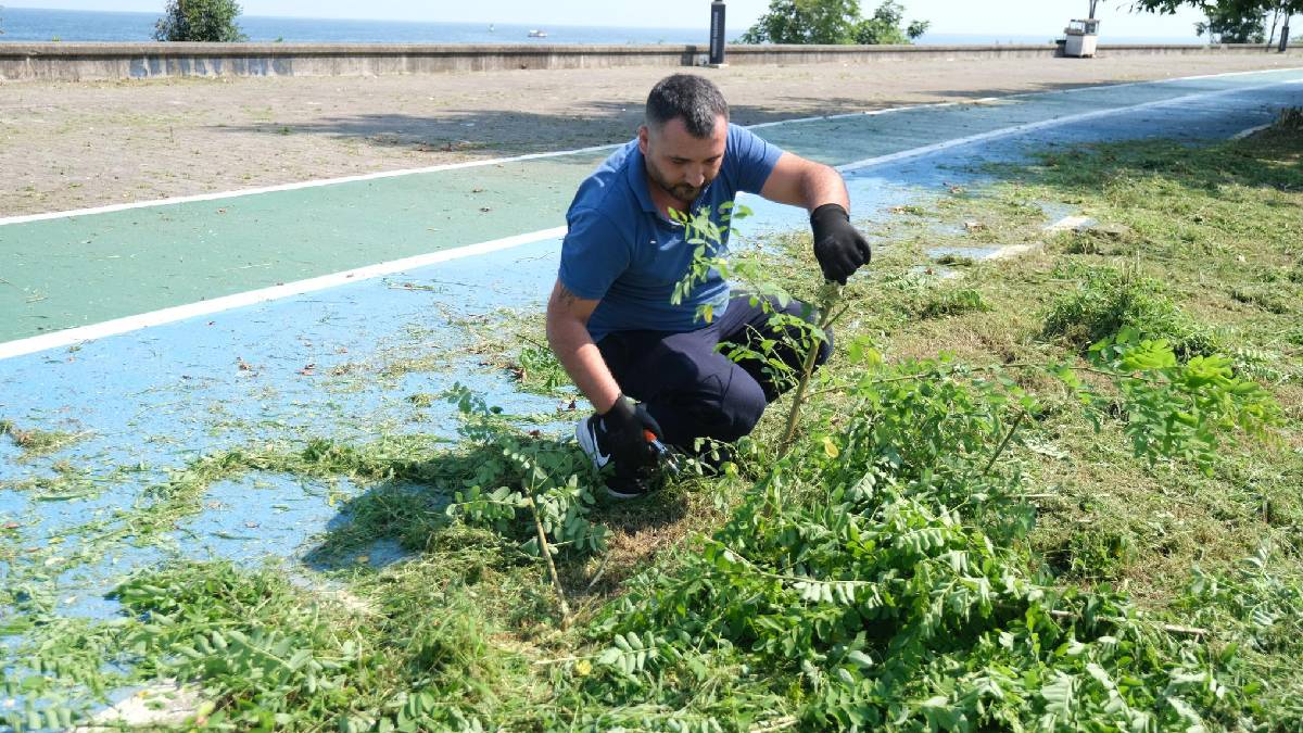 Sahil bölgesinde temizlik çalışması yapıldı