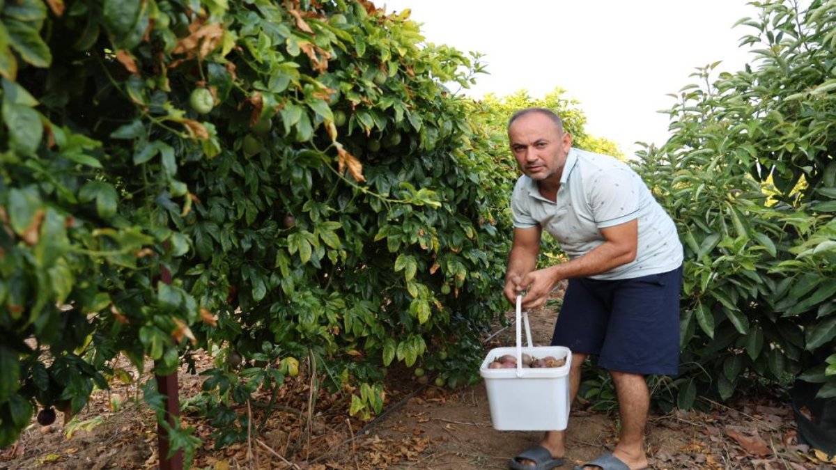 Bahçesi atıl durumdaydı, işi gücü bıraktı bahçesiyle ilgilendi! Şimdi siparişlere yetişemiyor