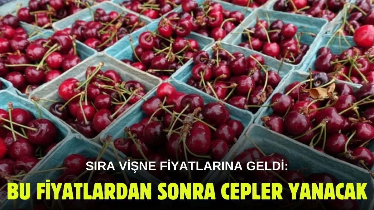 Önceden kazanla yapılırdı şimdi bir tencere zor kaynayacak! İşte il il vişne fiyatları