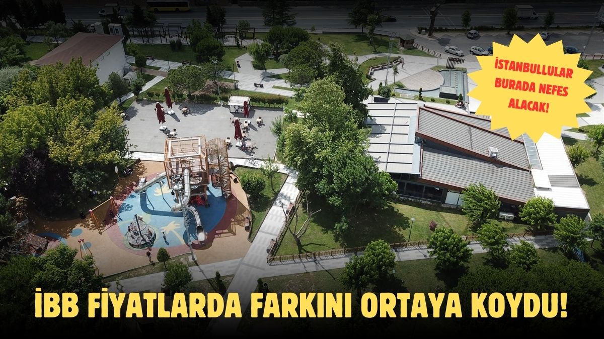 İstanbul'da 1 TL'ye çay olur mu demeyin! Emekliler akın edecek: Ormanın içindeki tesise beğeni yağdı