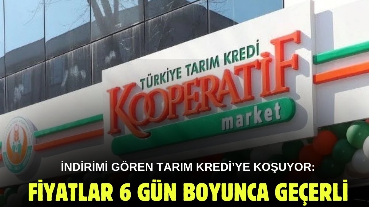 Maaşını çeken koşsun, indirimin böylesi görülmedi! Tarım Kredi zeytinyağını 6 gün boyunca bu fiyata satacak