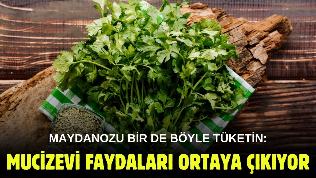 Maydanozu böyle tüketen bilinmeyen mucizelerini keşfediyor! Cildinizden kilonuza kadar düzene sokacak