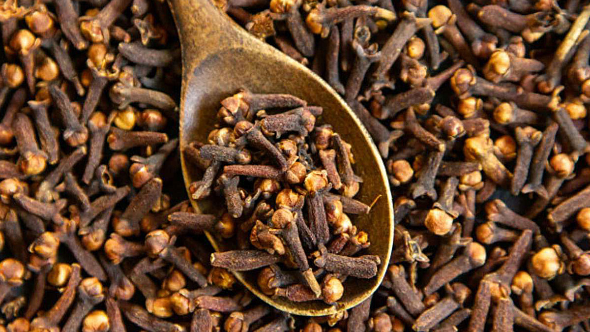 Karanfil çiğnemenin faydasını öğrenince ağzınızdan düşürmeyeceksiniz! İnsan sağlığına faydaları müthiş