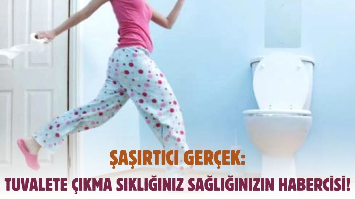 Şaşırtıcı gerçek! Sağlıklı yaşamın sırları tuvalette saklı: Uzmanlar açıklıyor!