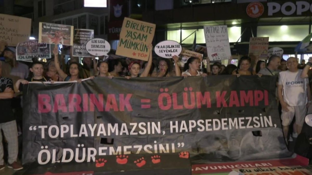 Hayvan hakları savunucularından 'sokak hayvanları' protestosu: Toplayamazsın, hapsedemezsin, öldüremezsin