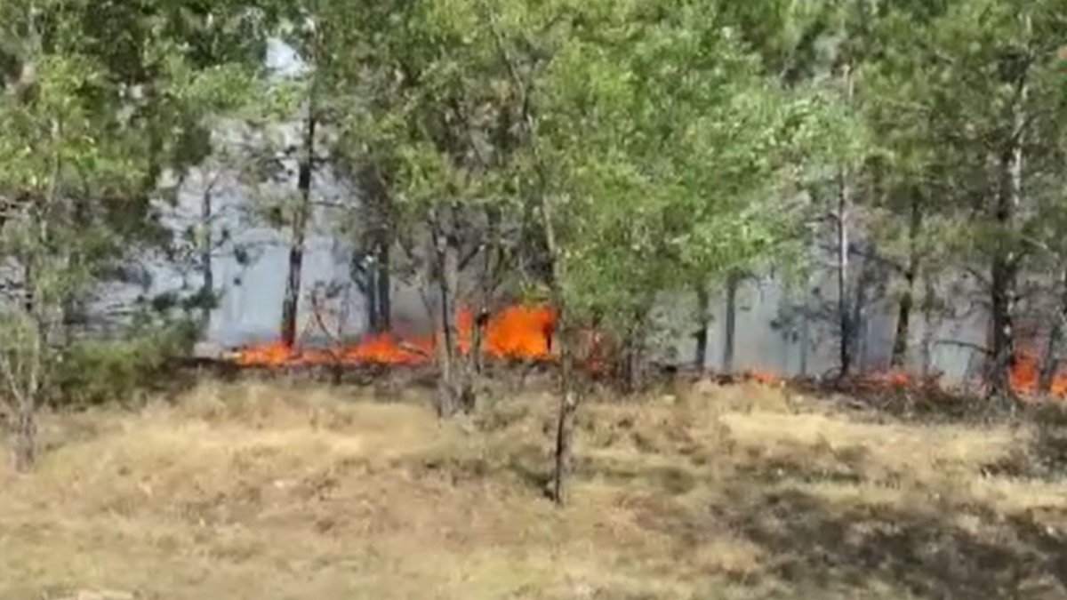 Kastamonu’da orman yangını